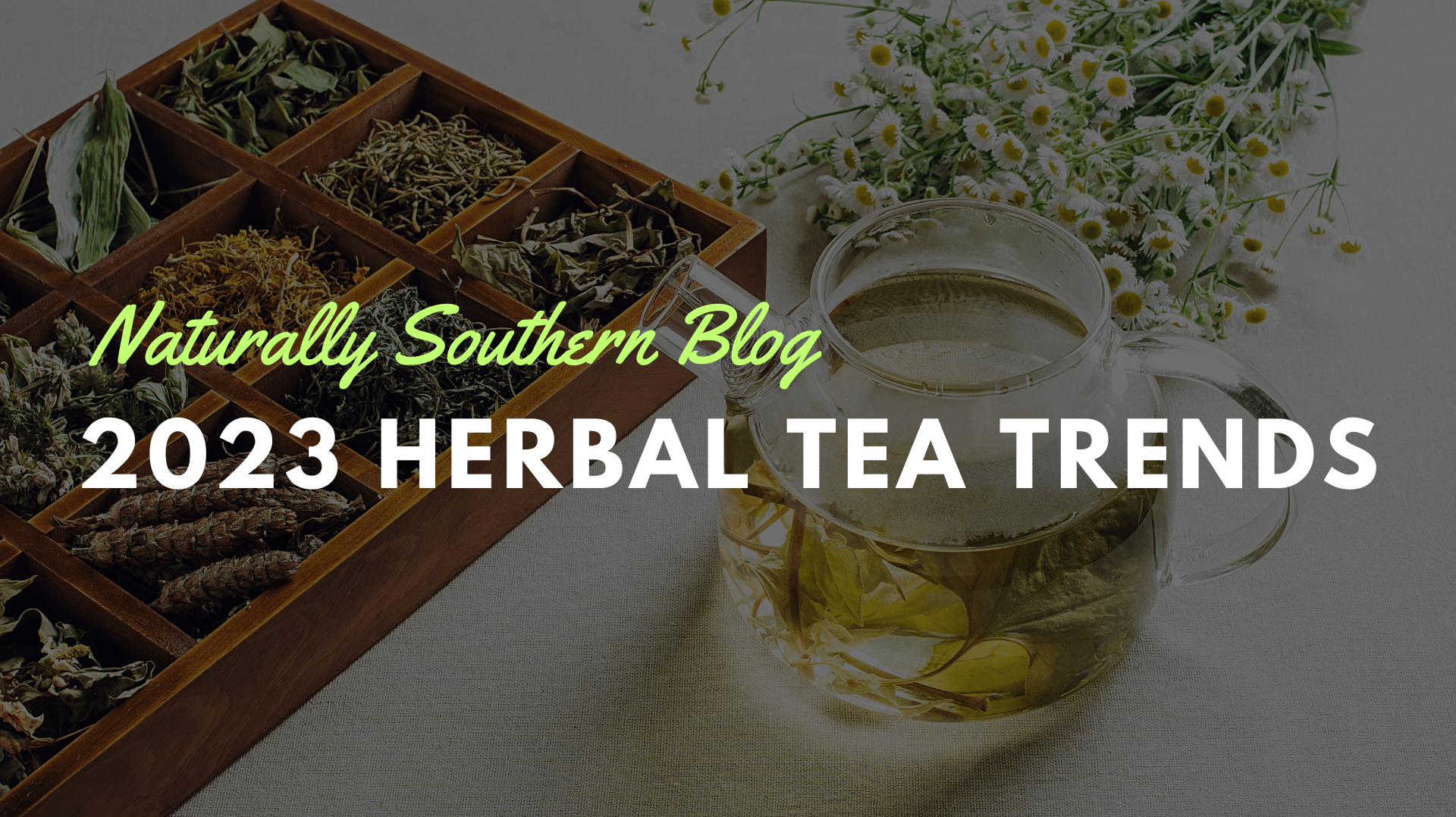 2023's Herbal Tea Plant Trends: Spotlight on the Top 20 - Southern Seeds