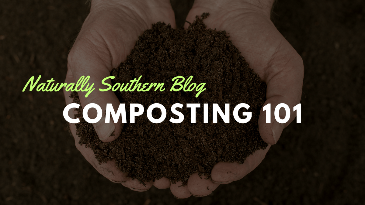 Image showcasing Composting 101: Turning Waste into Garden Gold – Southern Seeds