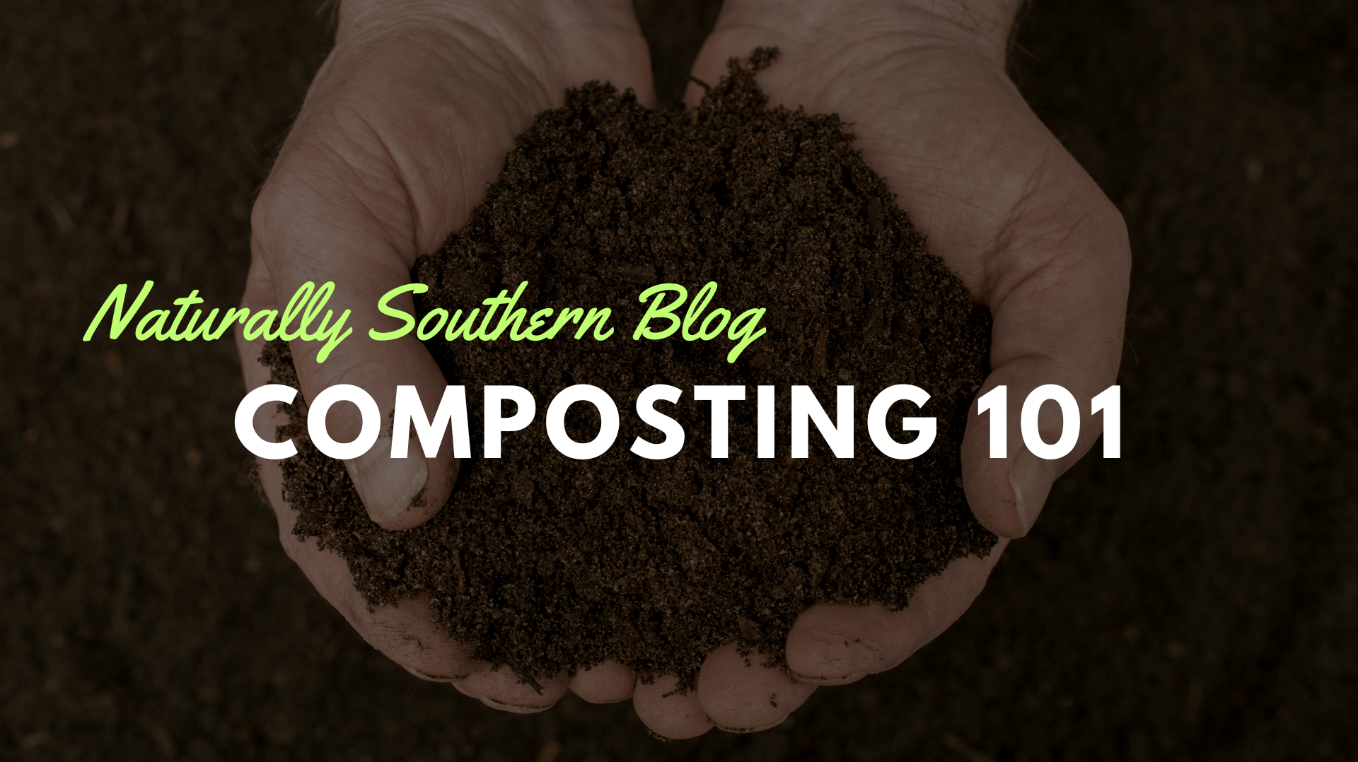 Composting 101: Turning Waste into Garden Gold - Southern Seeds