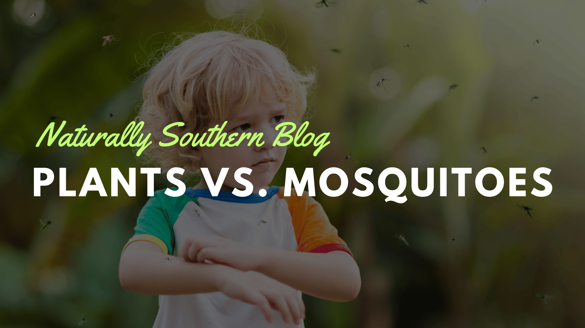 Cultivate Tranquility: 15 Plants to Naturally Ward Off Mosquitoes - Southern Seeds