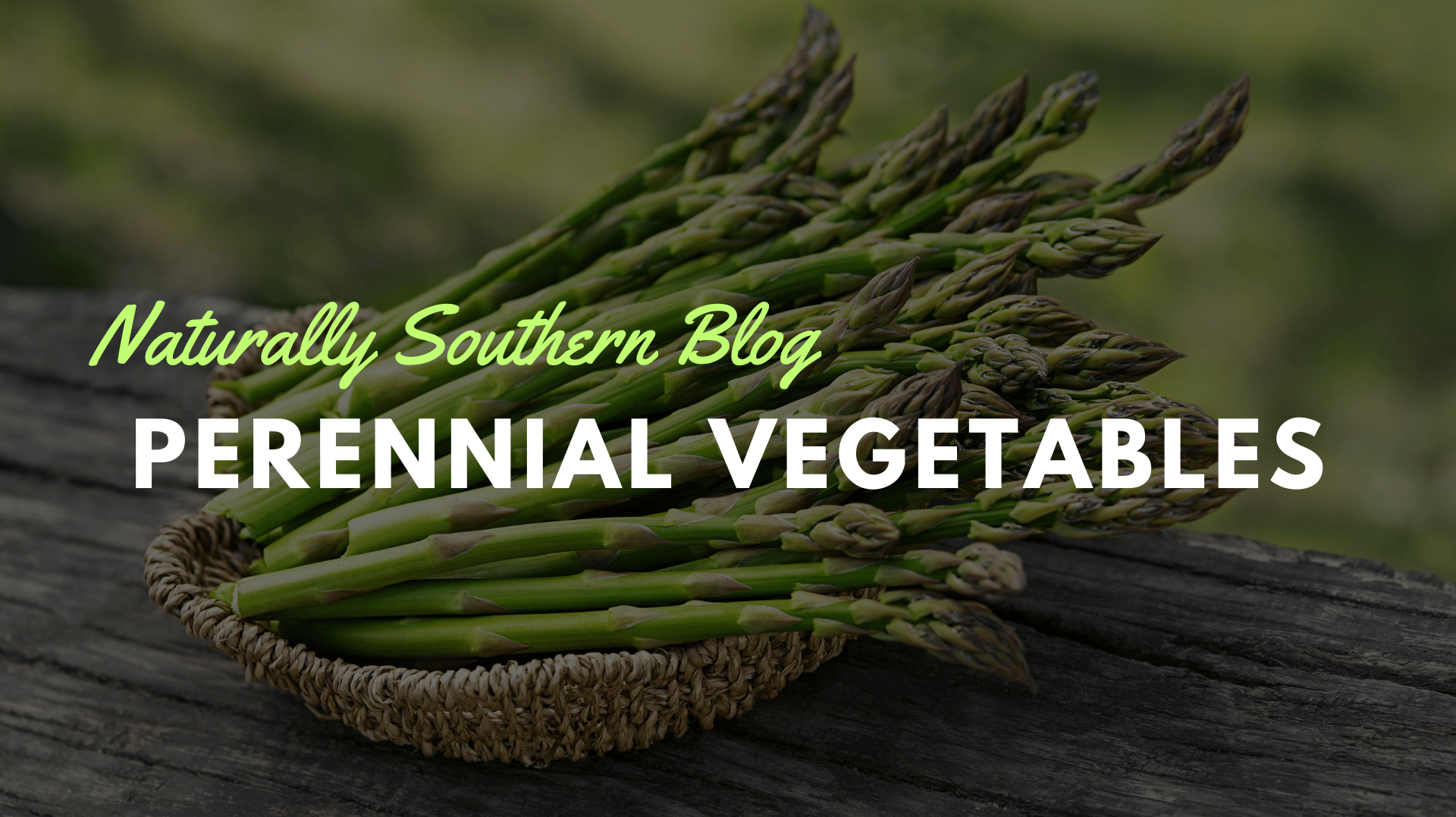 Cultivating Sustainability: Top Perennial Vegetables for Your Garden - Southern Seeds