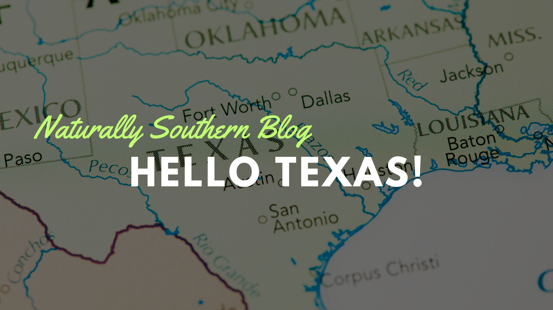 Embracing Change: Our Exciting Move to a Little Patch of Heaven Outside Dallas - Southern Seeds