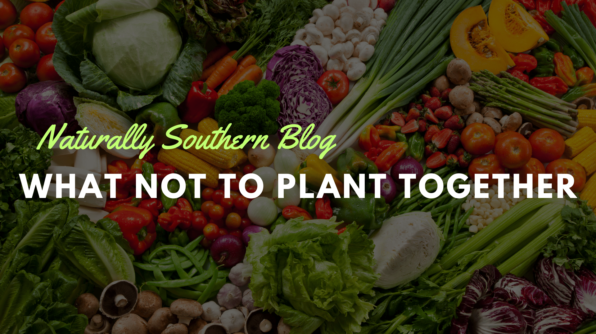 Friends or Foes? Garden Companions to Avoid - Southern Seeds