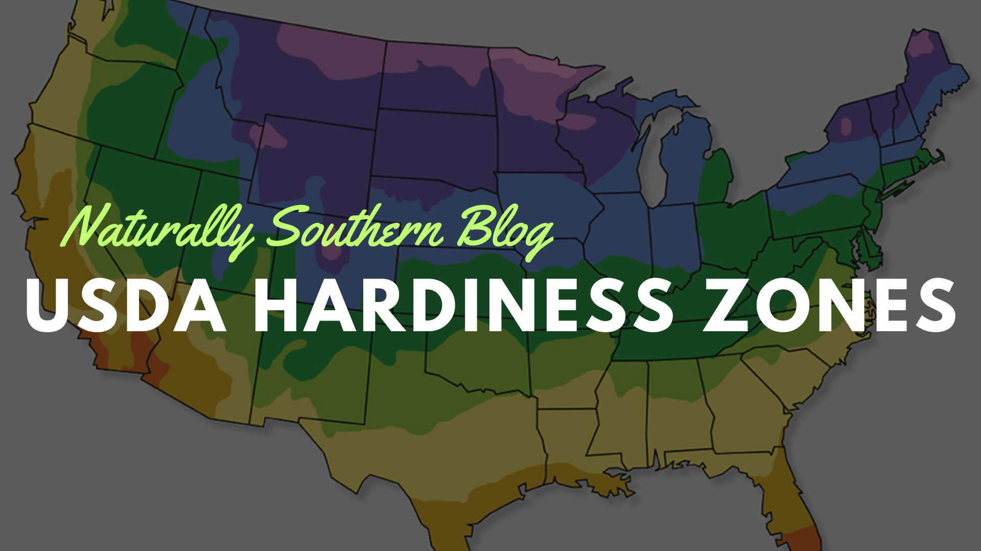 Navigating the Gardening World Through USDA Hardiness Zones - Southern Seeds