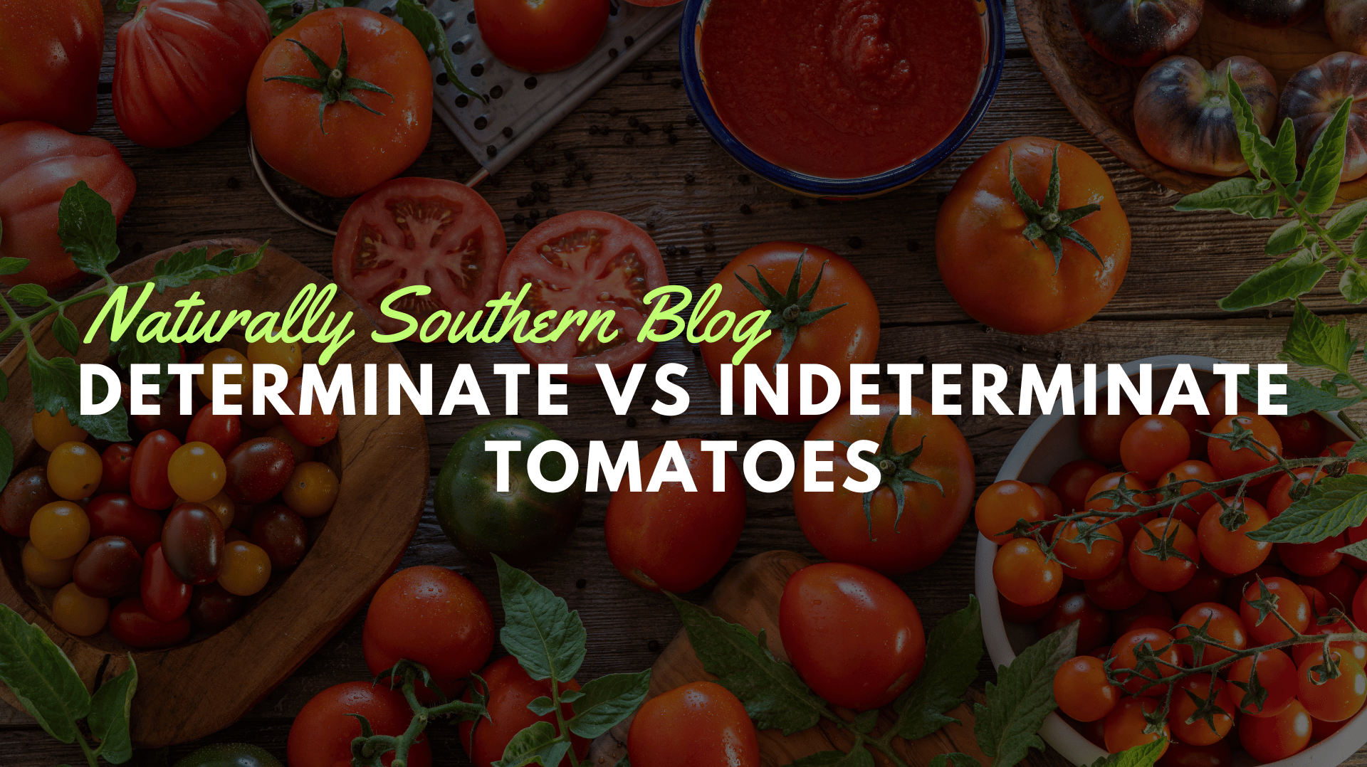 Navigating Tomato Varieties: Determinate vs. Indeterminate - Southern Seeds