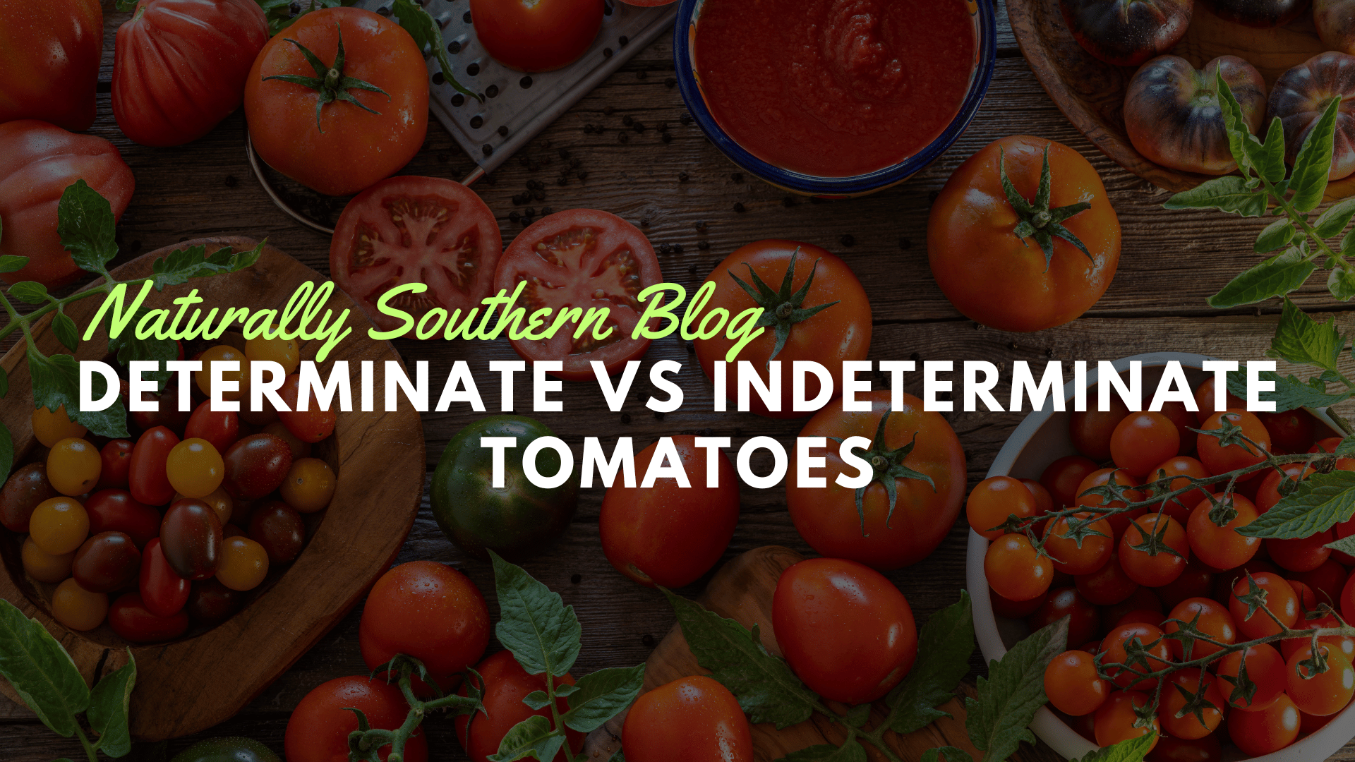 Navigating Tomato Varieties: Determinate vs. Indeterminate - Southern Seeds