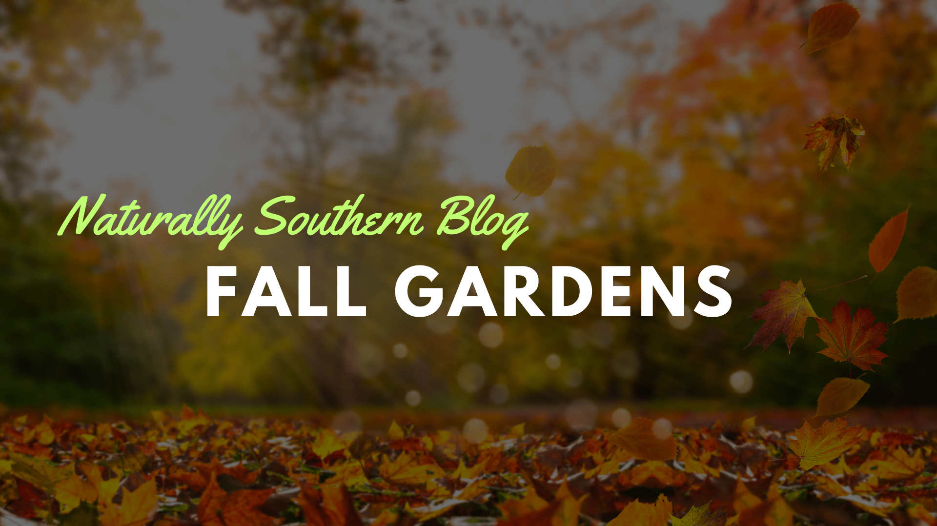 Planting Hope: The Benefits and Joys of a Fall Garden - Southern Seeds
