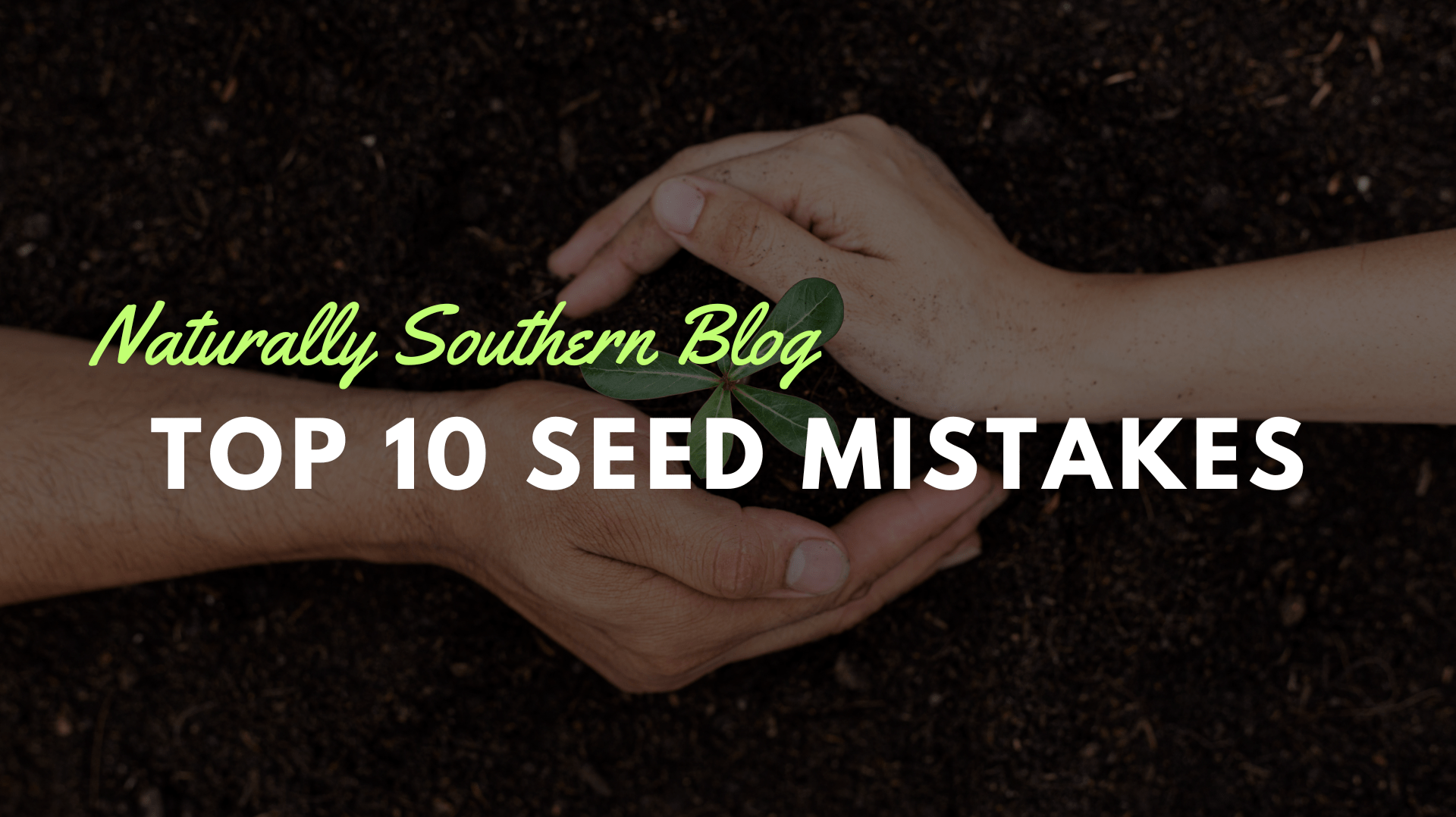 Seed Starting Fails: The Top 10 Mistakes - Southern Seeds