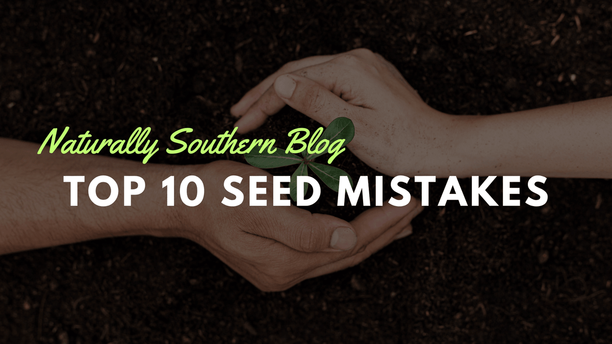 Seed Starting Fails: The Top 10 Mistakes - Southern Seeds