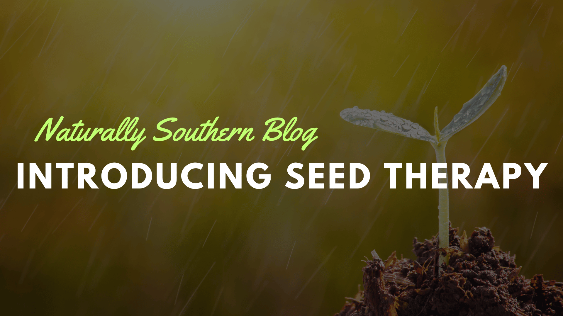 Seed Therapy: The Next Step in Our Growing Legacy - Southern Seeds