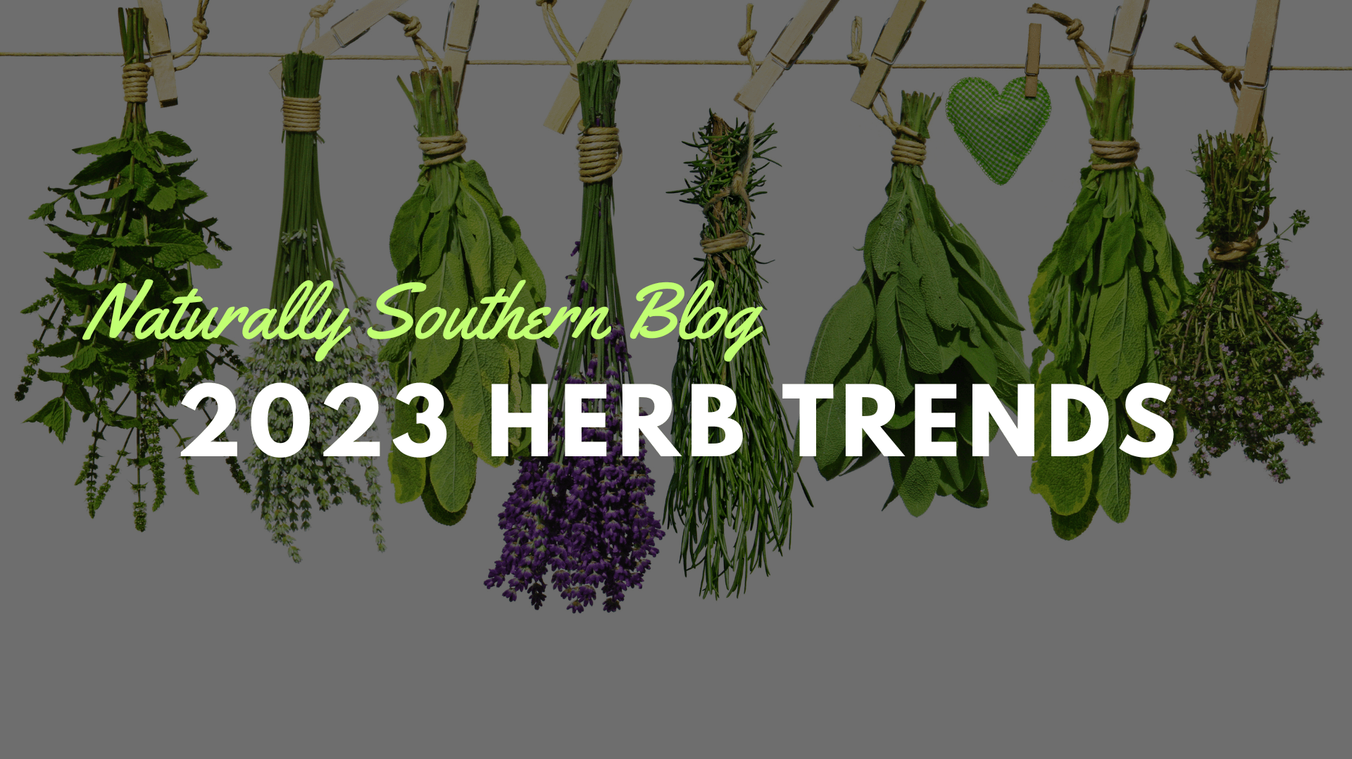 Spice Up Your Garden: Culinary Herbs Trends for 2023 - Southern Seeds