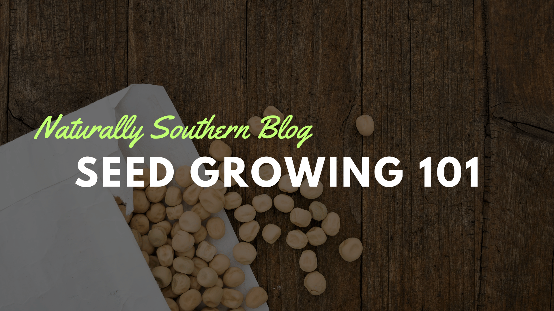 The Foolproof Guide to Seed Starting - Southern Seeds