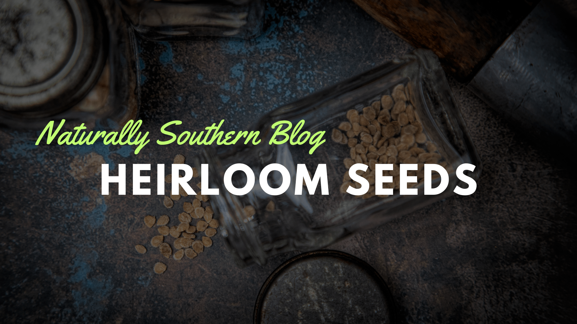 The Unmatched Value of Heirloom Seeds: A Journey Back in Time - Southern Seeds