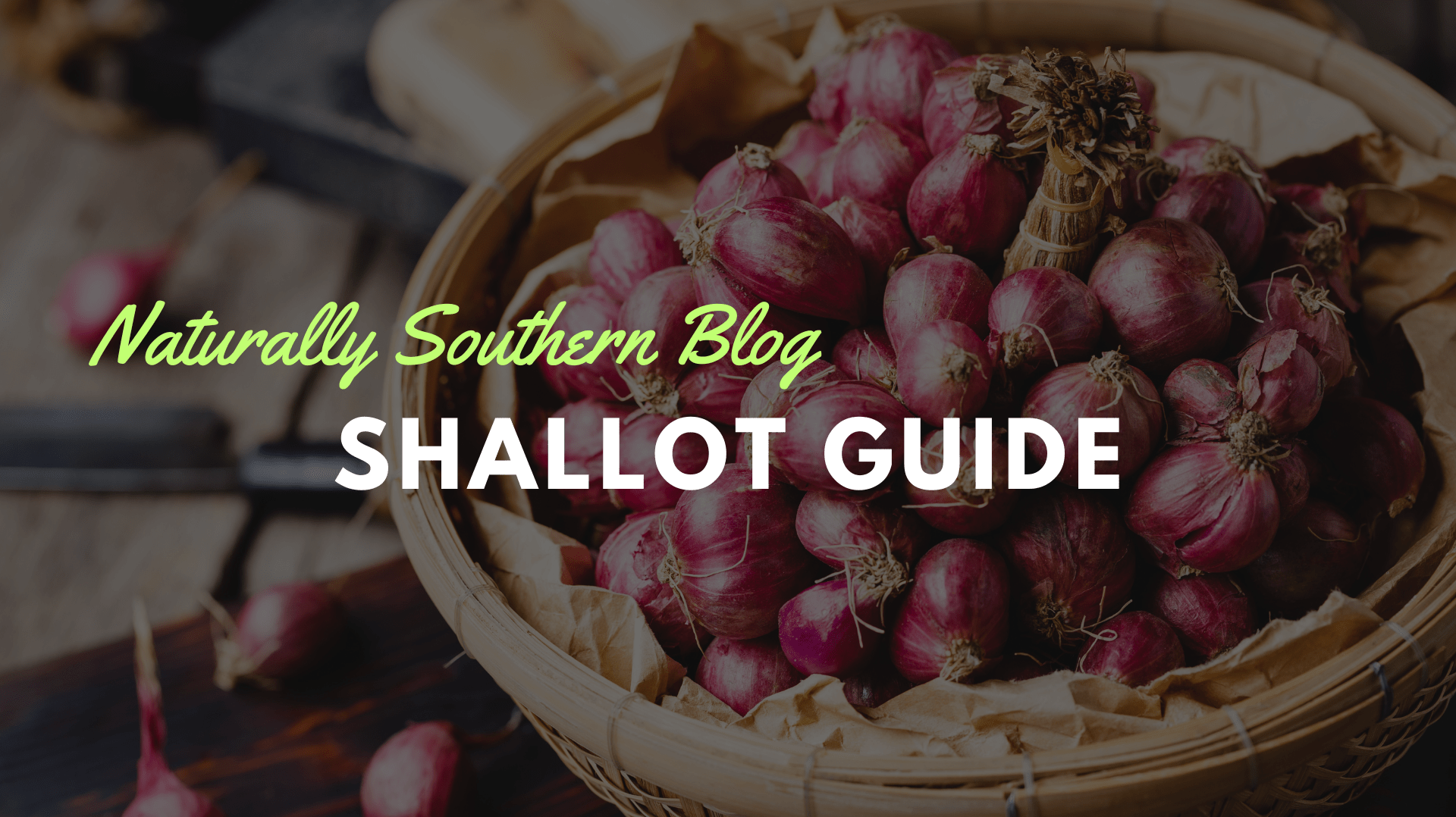 Understanding Shallots: From Seed to Kitchen - Southern Seeds