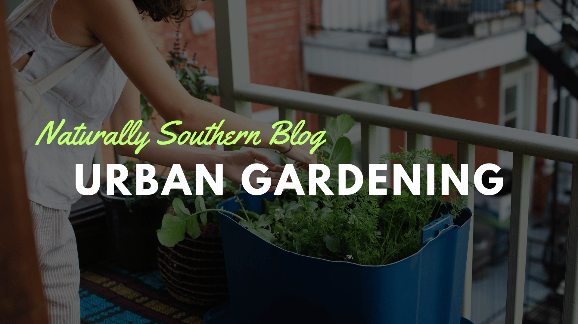 Urban Gardening: Maximizing Growth in Minimal Spaces - Southern Seeds