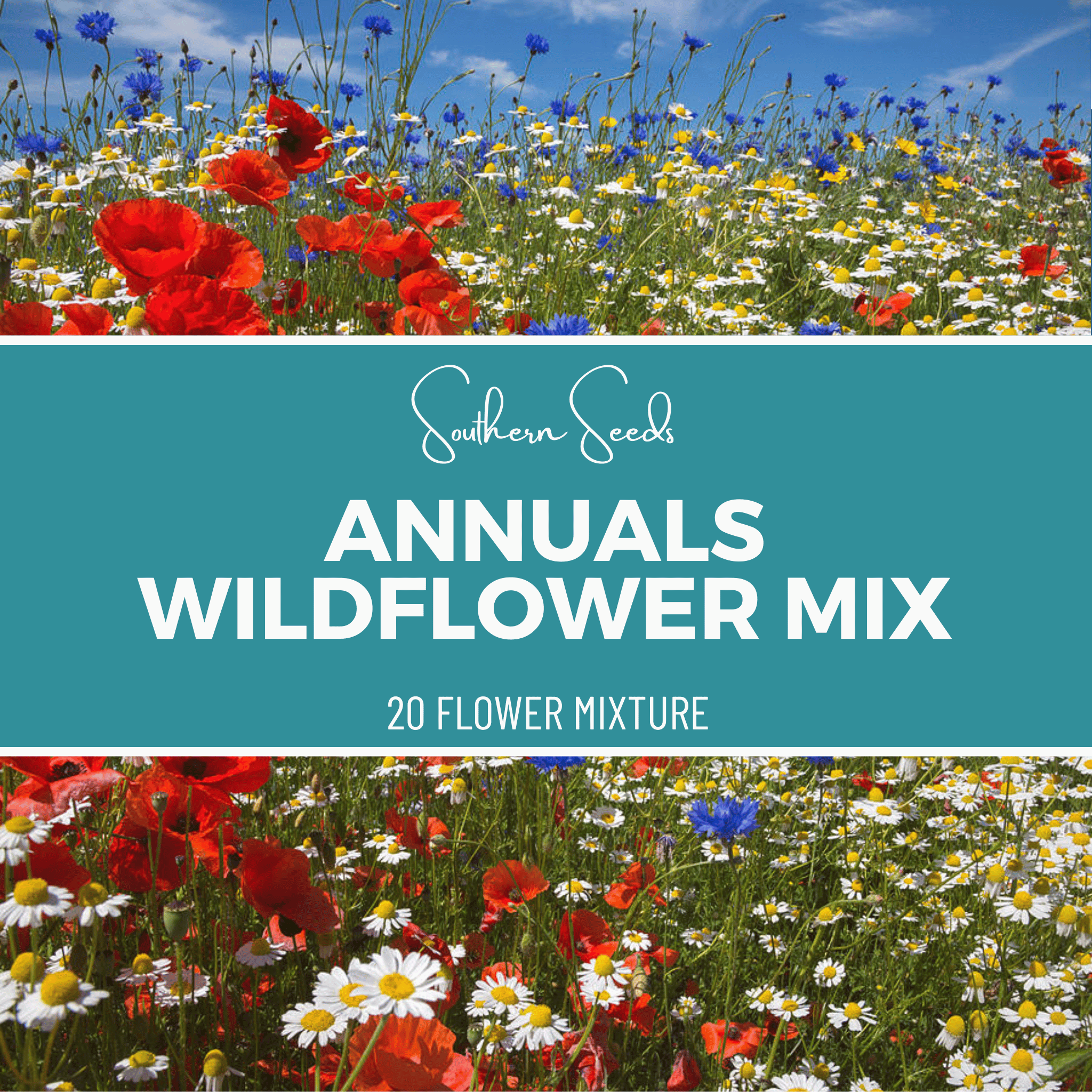 Annuals Wildflower Seed Mix - 20 Flower Varieties - 1,000 Seeds seed packet from Seed Therapy – American - grown, heirloom seeds