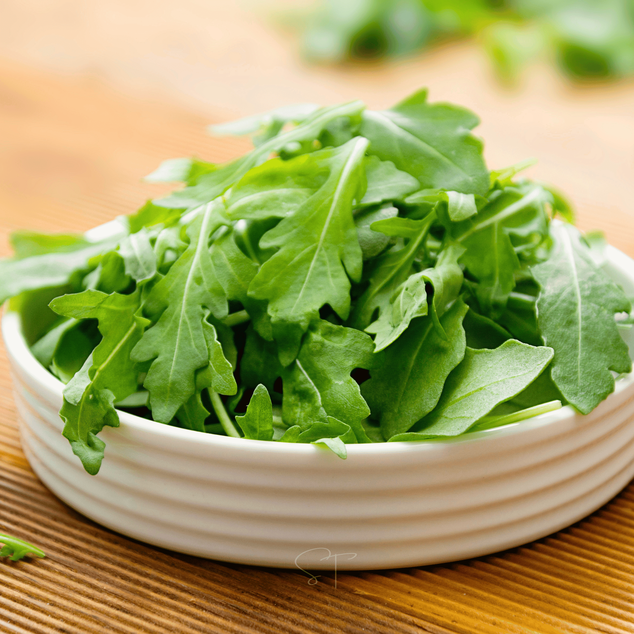 Arugula – 200 Seeds seed packet from Seed Therapy – American - grown, heirloom seeds