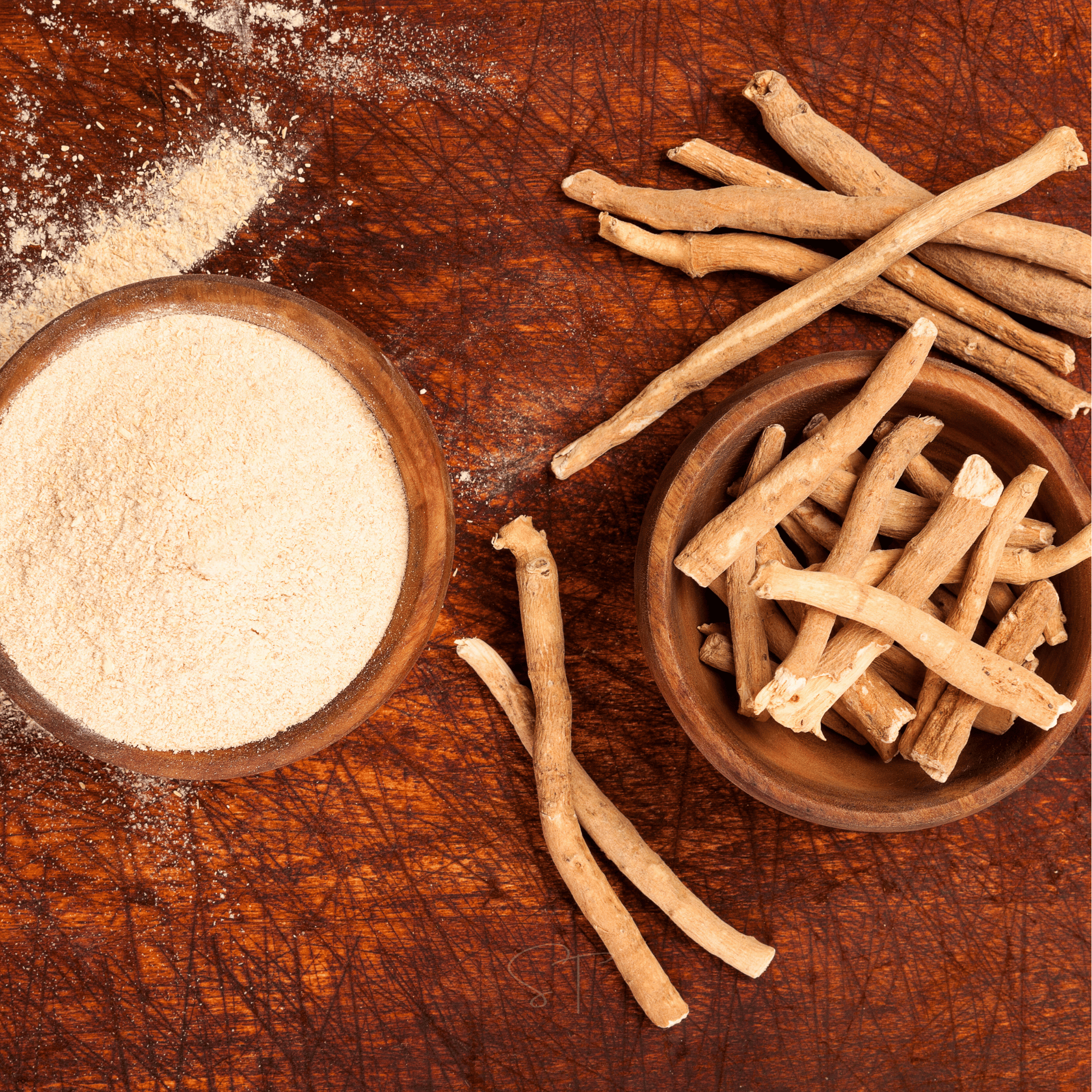 Ashwagandha (Indian Ginseng) – 30 Seeds seed packet from Seed Therapy – American - grown, heirloom seeds