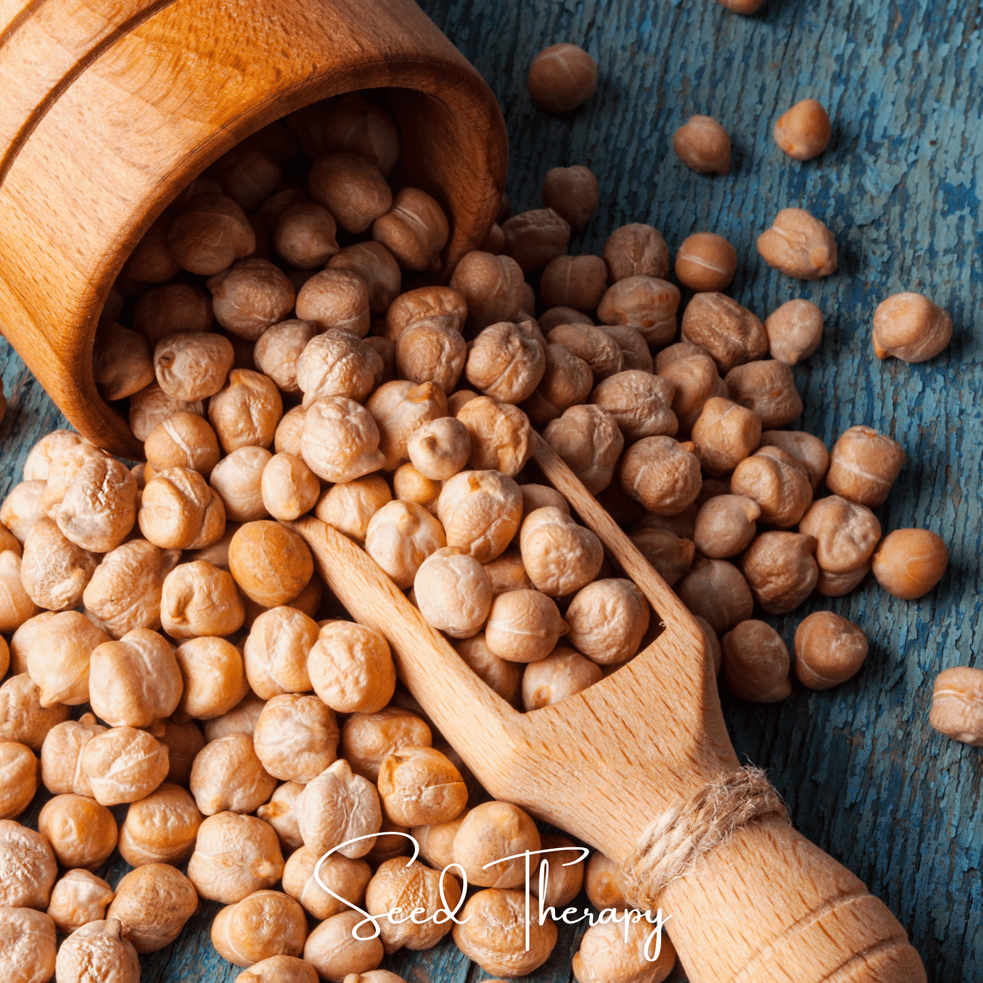 Bean, Garbanzo - Chickpea (Cicer arietinum) - 20 Seeds seed packet from Seed Therapy – American - grown, heirloom seeds