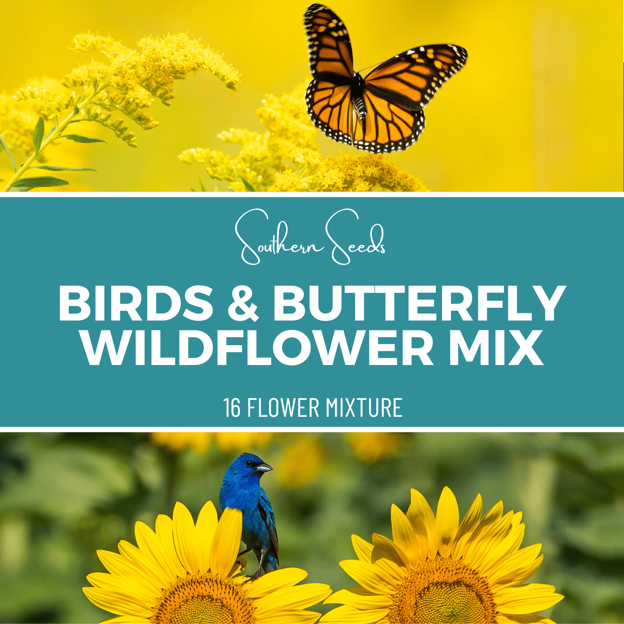 Birds & Butterfly Perennial Wildflower Seed Mix - 1,000 Seeds seed packet from Seed Therapy – American - grown, heirloom seeds