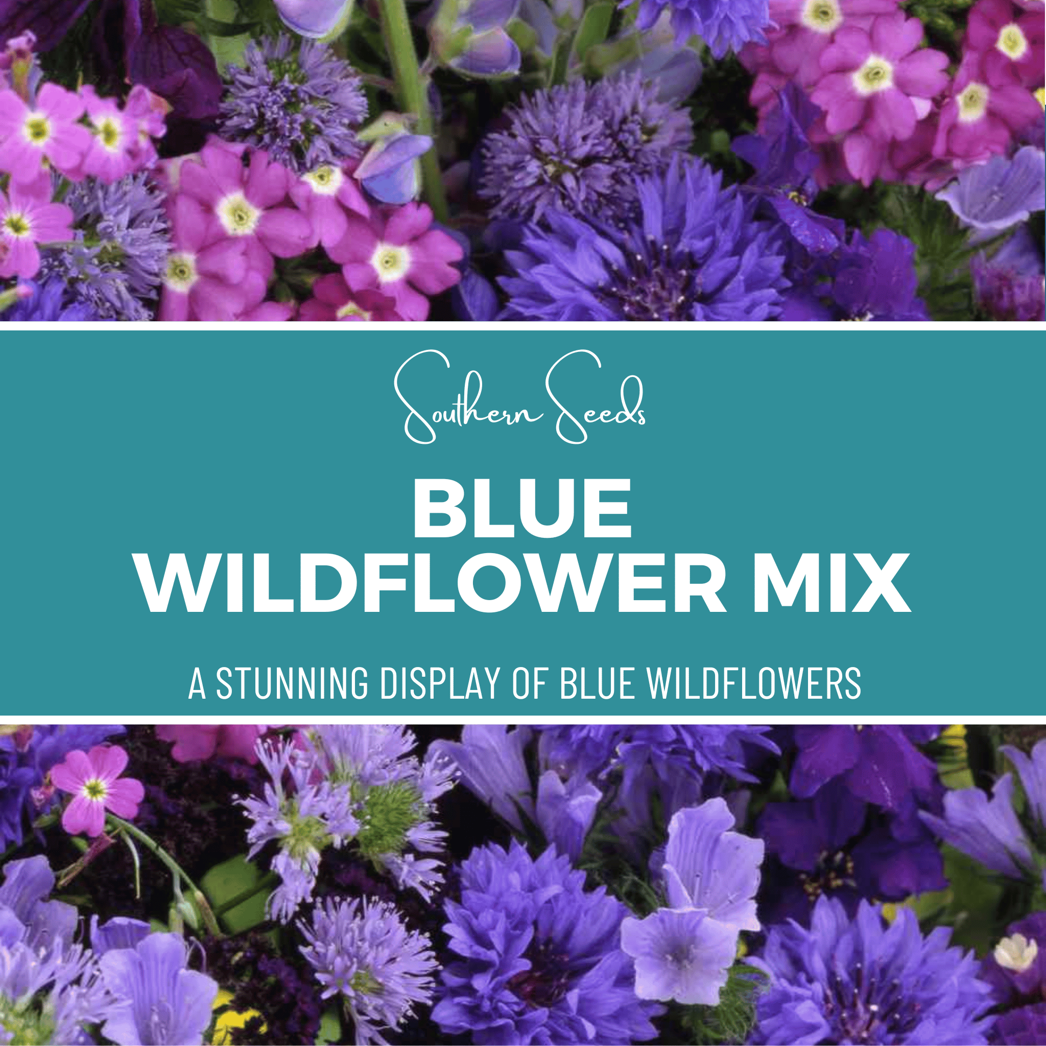Blue Wildflower Seed Mix - Blue Blooms - 100 Seeds seed packet from Seed Therapy – American - grown, heirloom seeds