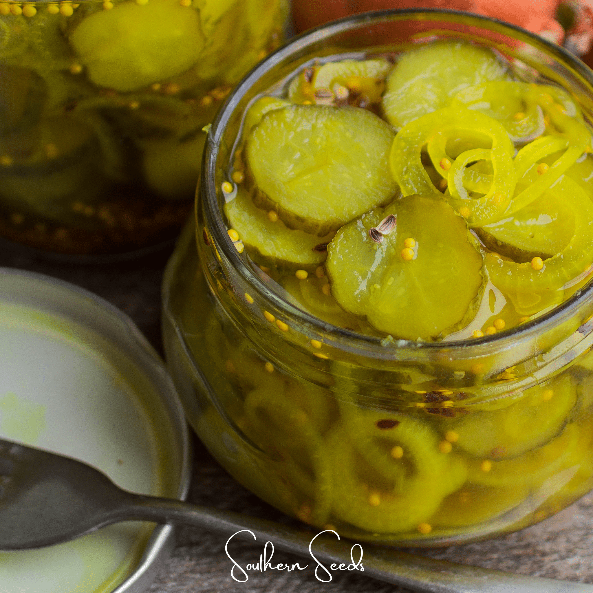 Cucumber, National Pickling (Cucumis sativus) - 30 Seeds seed packet from Seed Therapy – American - grown, heirloom seeds