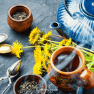 Dandelion, True (Taraxacum officinale) - 50 Seeds seed packet from Seed Therapy – American - grown, heirloom seeds