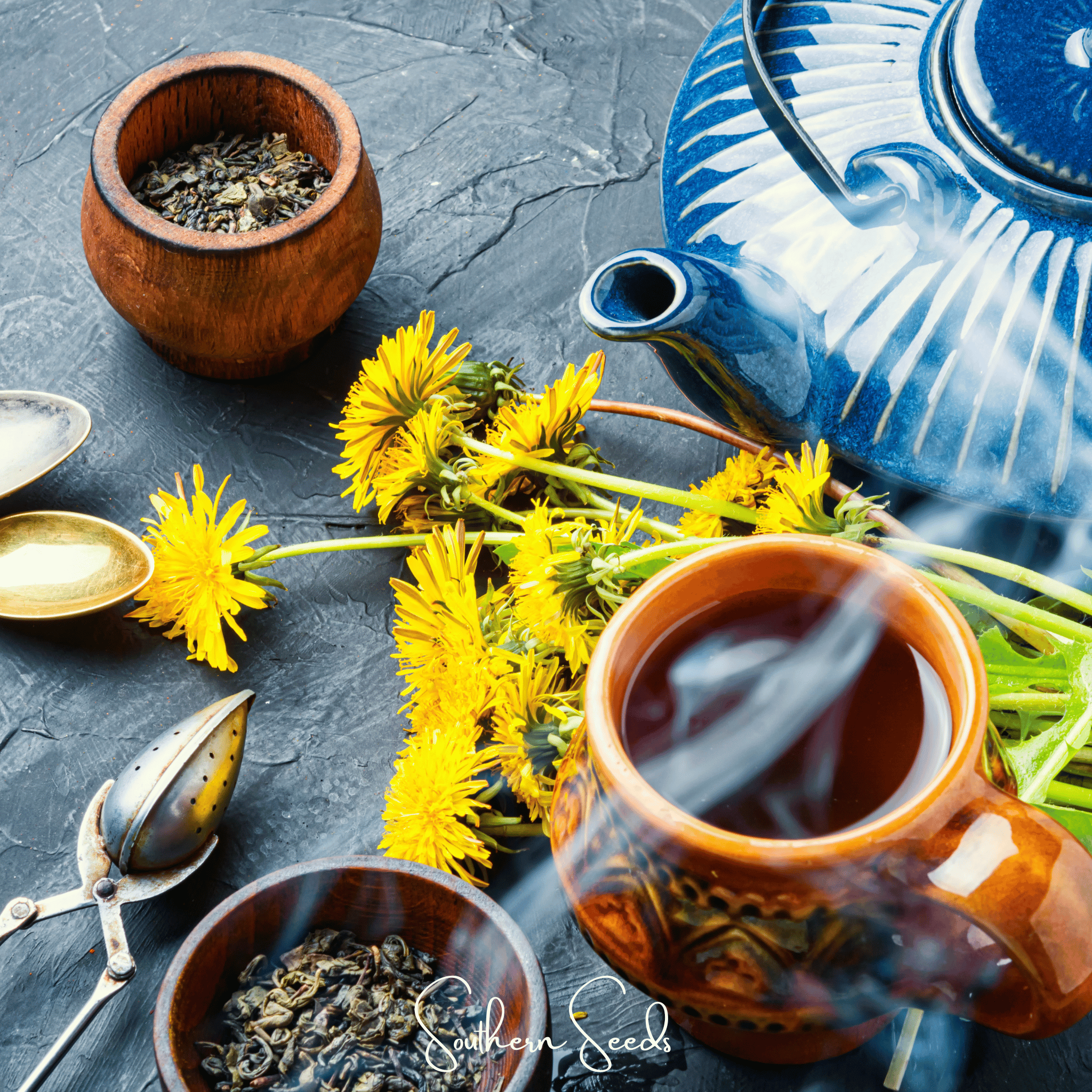 Dandelion, True (Taraxacum officinale) - 50 Seeds seed packet from Seed Therapy – American - grown, heirloom seeds