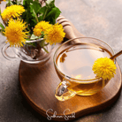 Dandelion, True (Taraxacum officinale) - 50 Seeds seed packet from Seed Therapy – American - grown, heirloom seeds