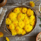 Dandelion, True (Taraxacum officinale) - 50 Seeds seed packet from Seed Therapy – American - grown, heirloom seeds