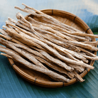 Dang - shen – 50 Seeds seed packet from Seed Therapy – American - grown, heirloom seeds