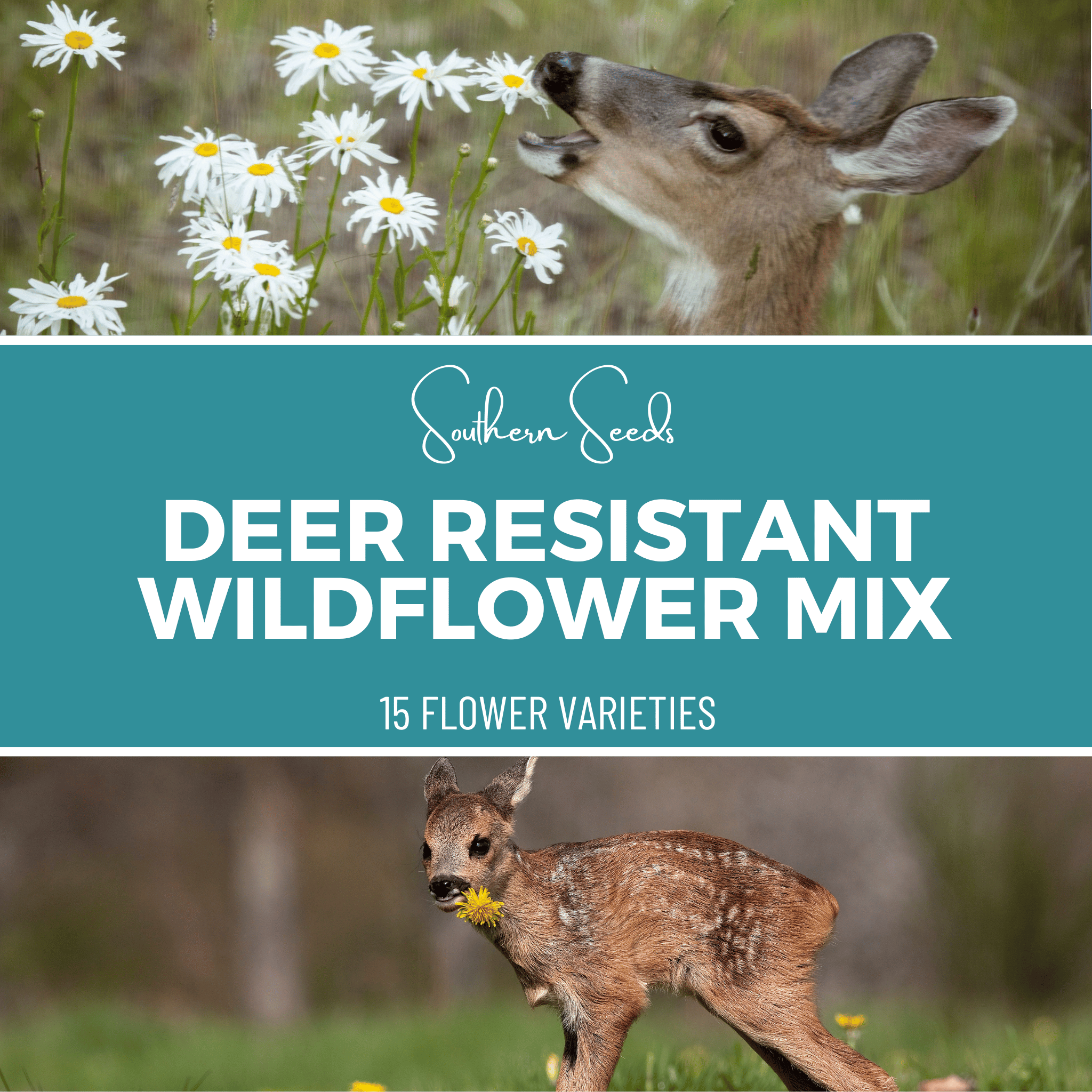 Deer Resistant Wildflower Seed Mix - 15 Flower Varieties - 1,000 Seeds seed packet from Seed Therapy – American - grown, heirloom seeds