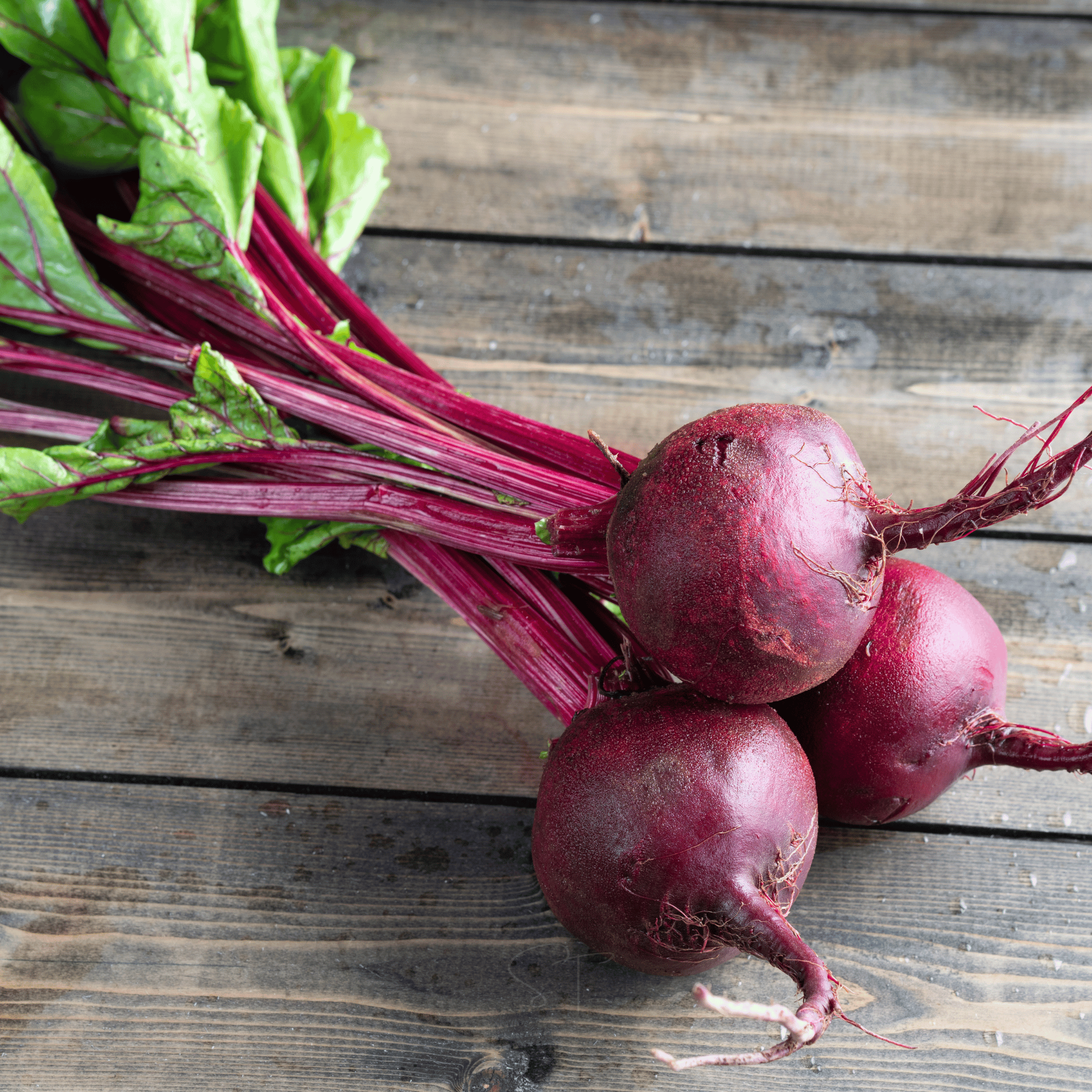 Detroit Dark Red Beet – 200 Seeds seed packet from Seed Therapy – American - grown, heirloom seeds