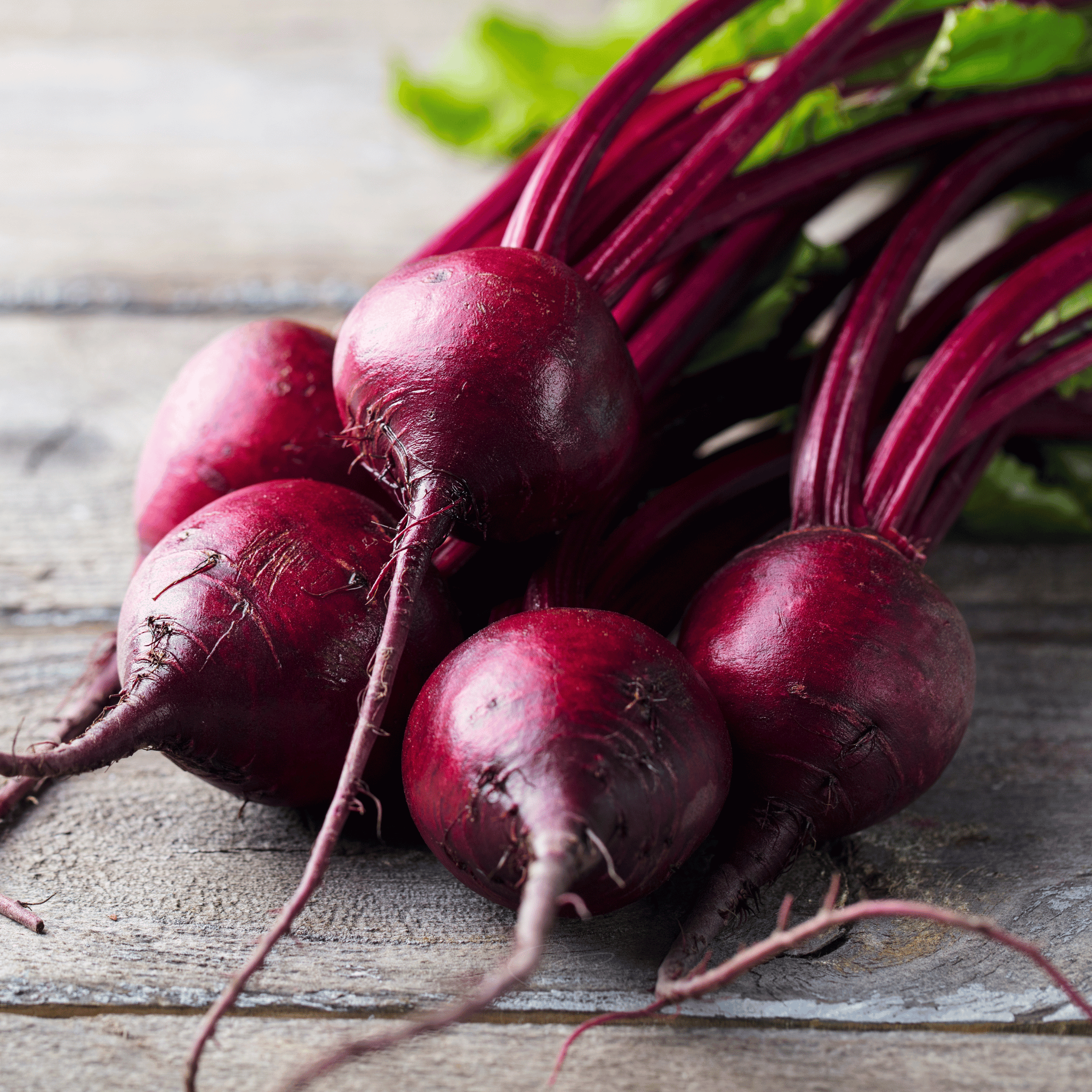 Detroit Dark Red Beet – 200 Seeds seed packet from Seed Therapy – American - grown, heirloom seeds