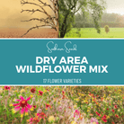 Dry Area Wildflower Seed Mix - 18 Flower Varieties - 1,000 Seeds seed packet from Seed Therapy – American - grown, heirloom seeds