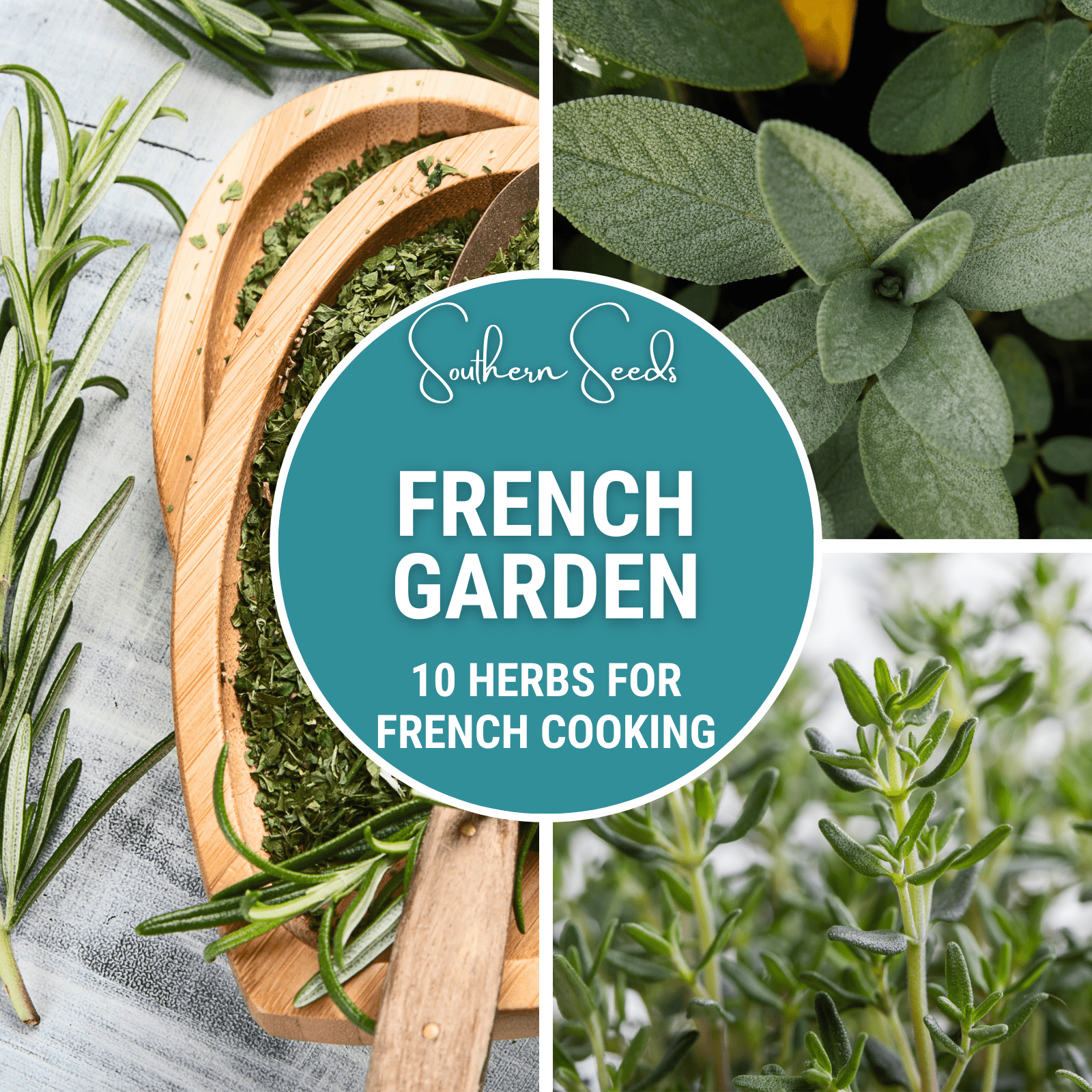 French Garden Seed Collection - 10 Varieties seed packet from Seed Therapy – American - grown, heirloom seeds