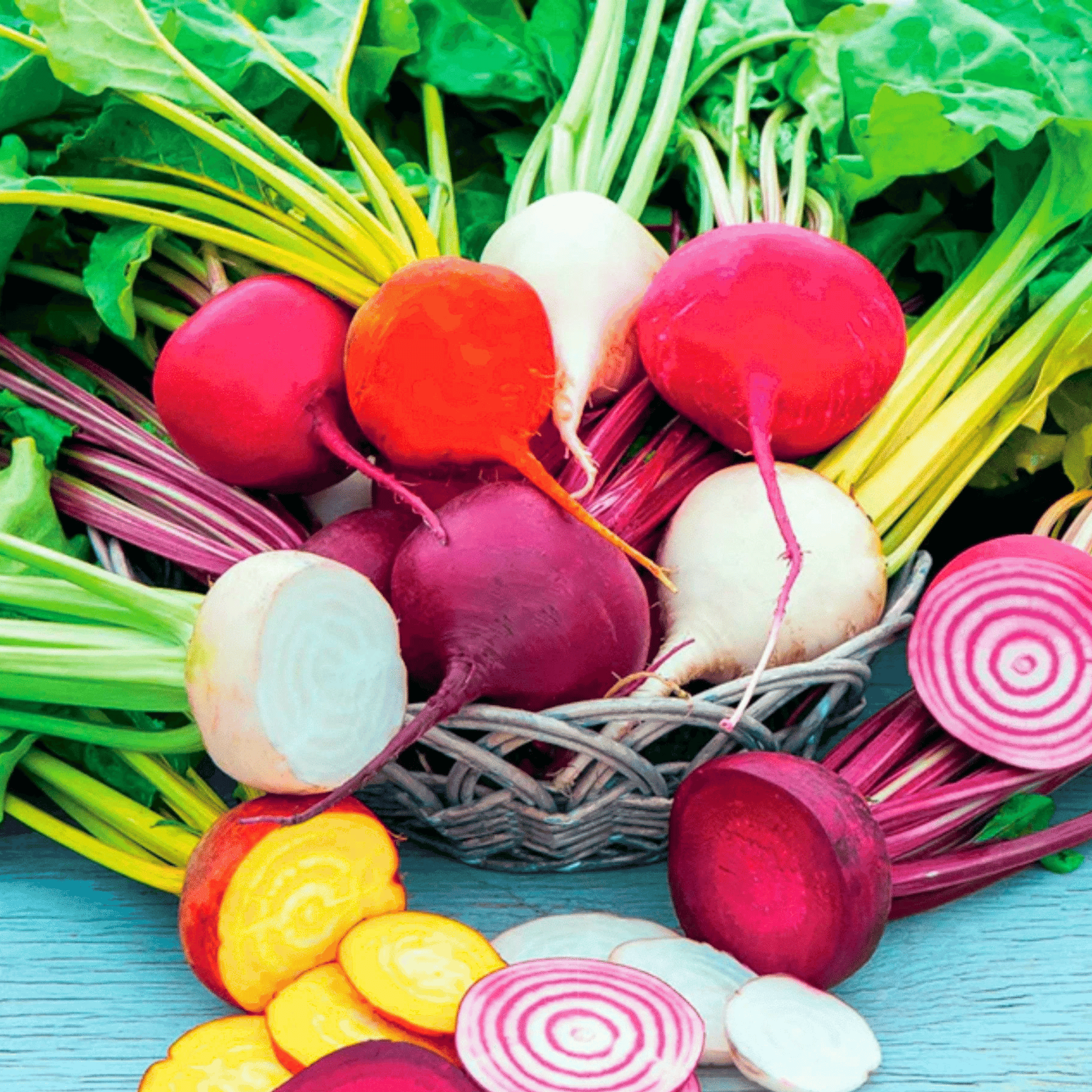 Gourmet Blend Beet – 50 Seeds seed packet from Seed Therapy – American - grown, heirloom seeds