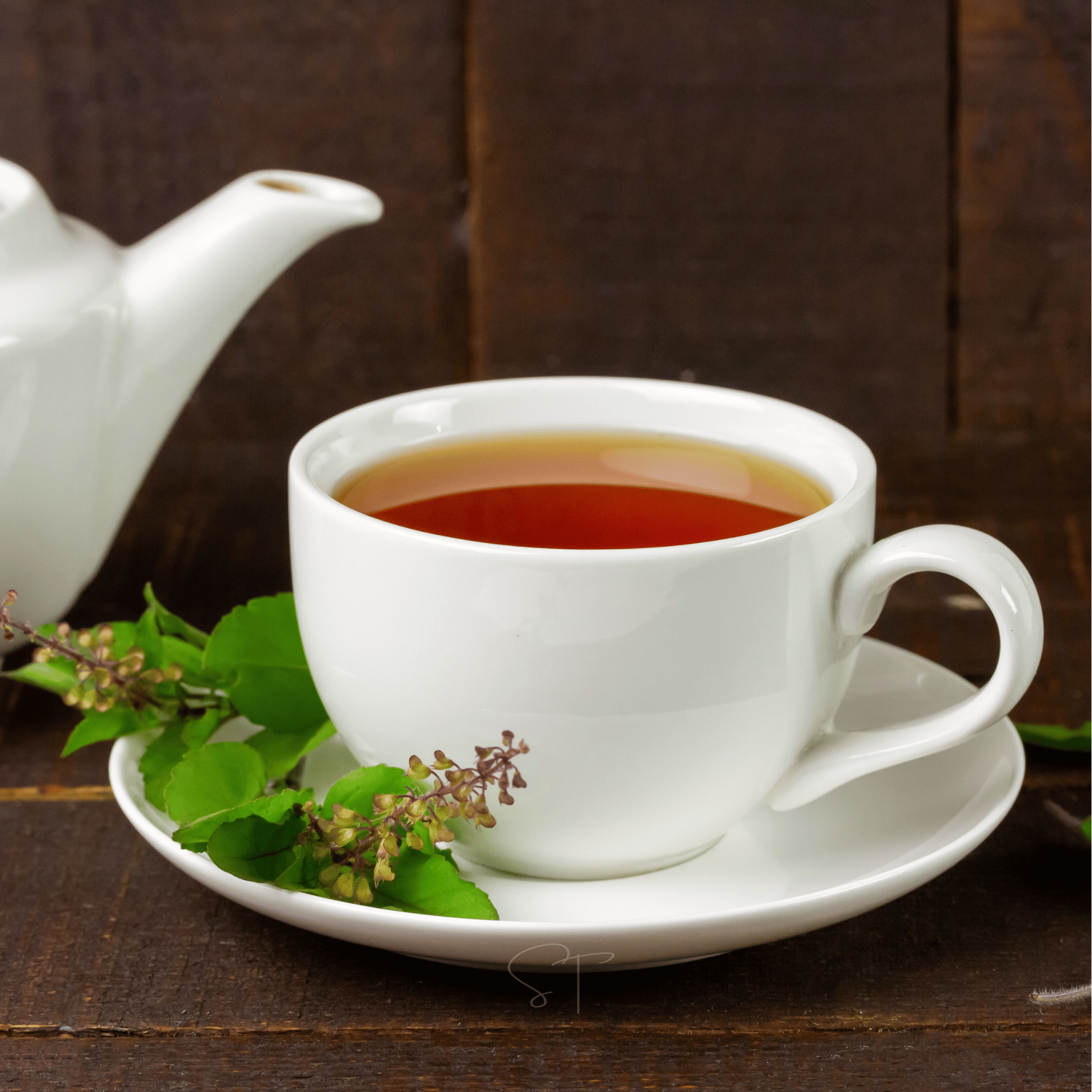 Holy Tulsi Basil – 250 Seeds seed packet from Seed Therapy – American - grown, heirloom seeds