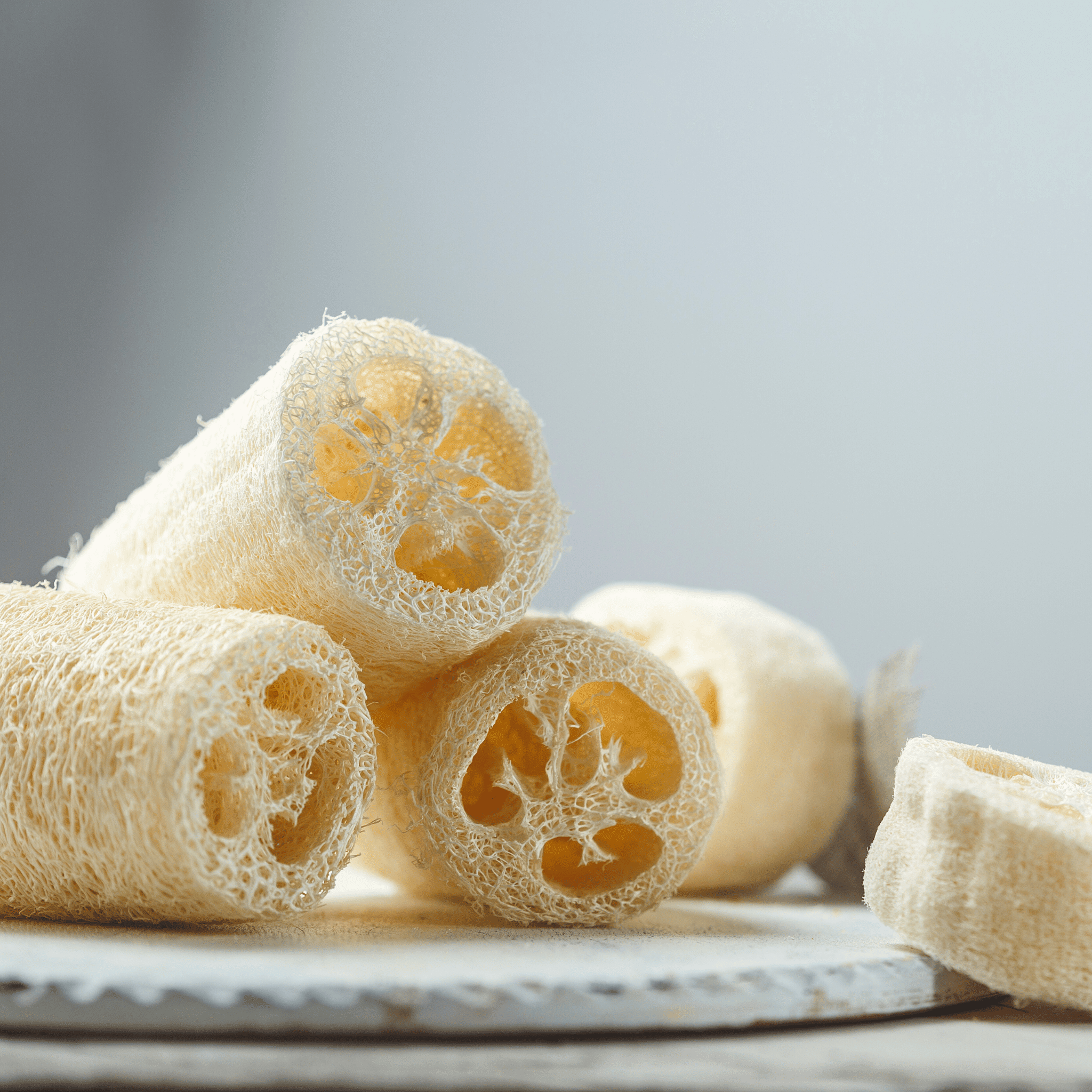 Luffa Gourd – 20 Seeds seed packet from Seed Therapy – American - grown, heirloom seeds