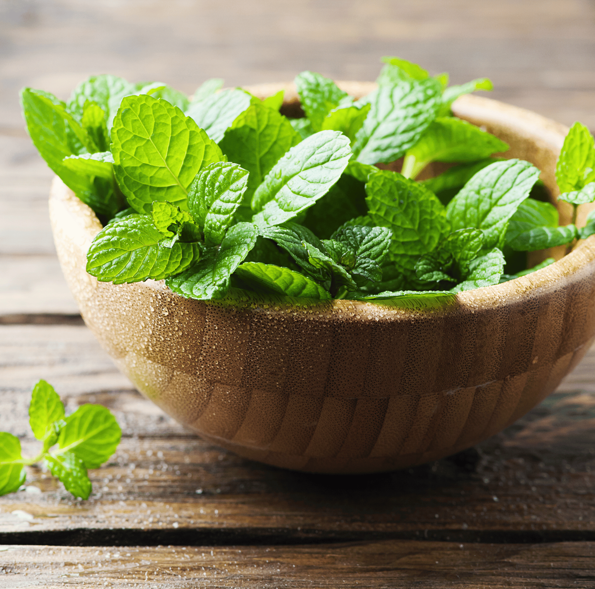 Mint – 100 Seeds seed packet from Seed Therapy – American - grown, heirloom seeds