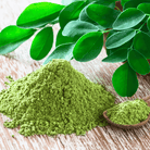 Moringa (Moringa oleifera) - 10 Seeds seed packet from Seed Therapy – American - grown, heirloom seeds