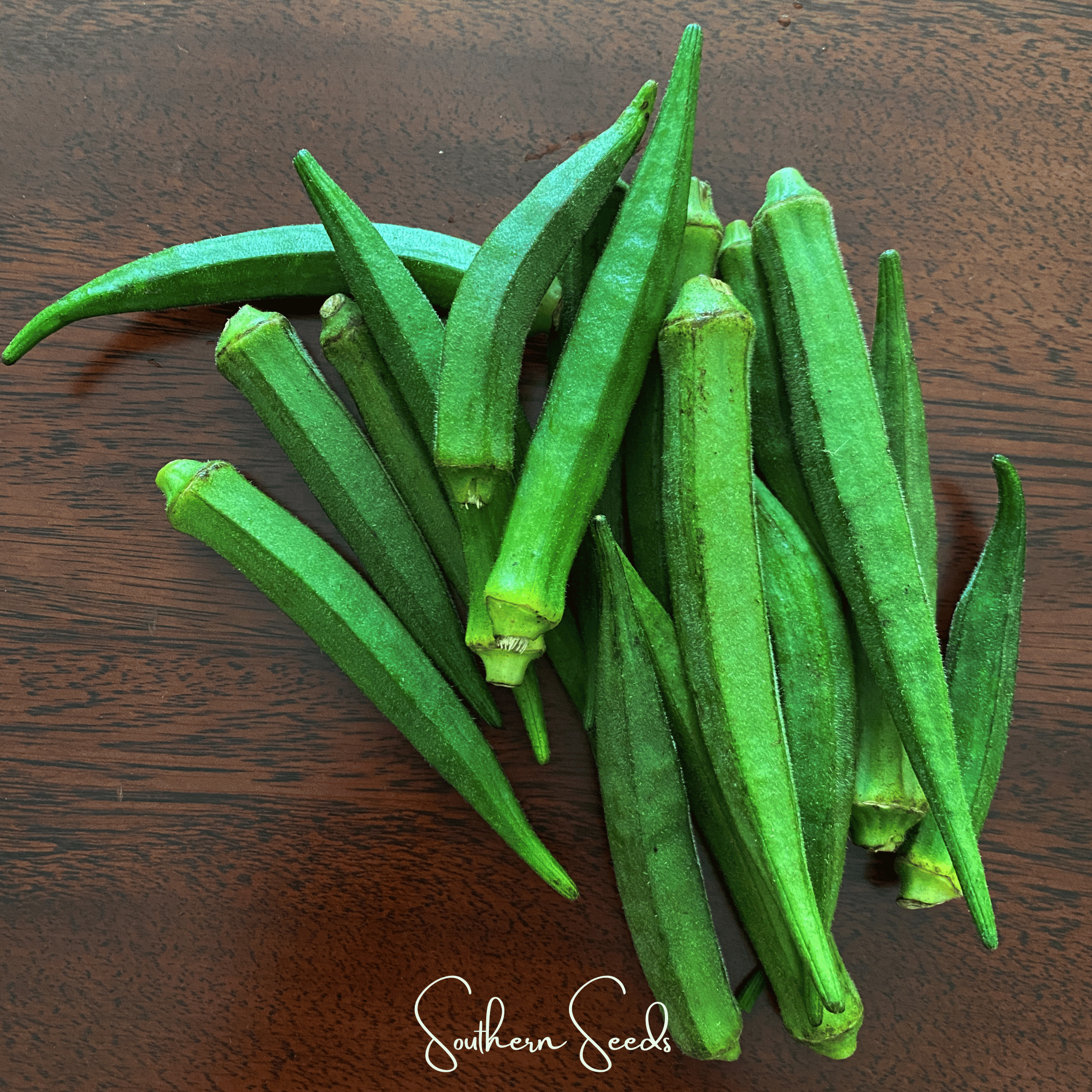 Okra, Jambalaya (Abelmoschus esculentus) - 50 Seeds seed packet from Seed Therapy – American - grown, heirloom seeds