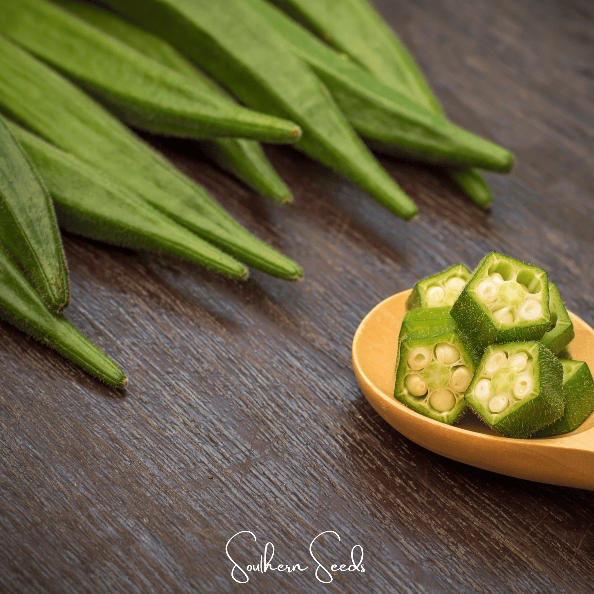 Okra, Jambalaya (Abelmoschus esculentus) - 50 Seeds seed packet from Seed Therapy – American - grown, heirloom seeds