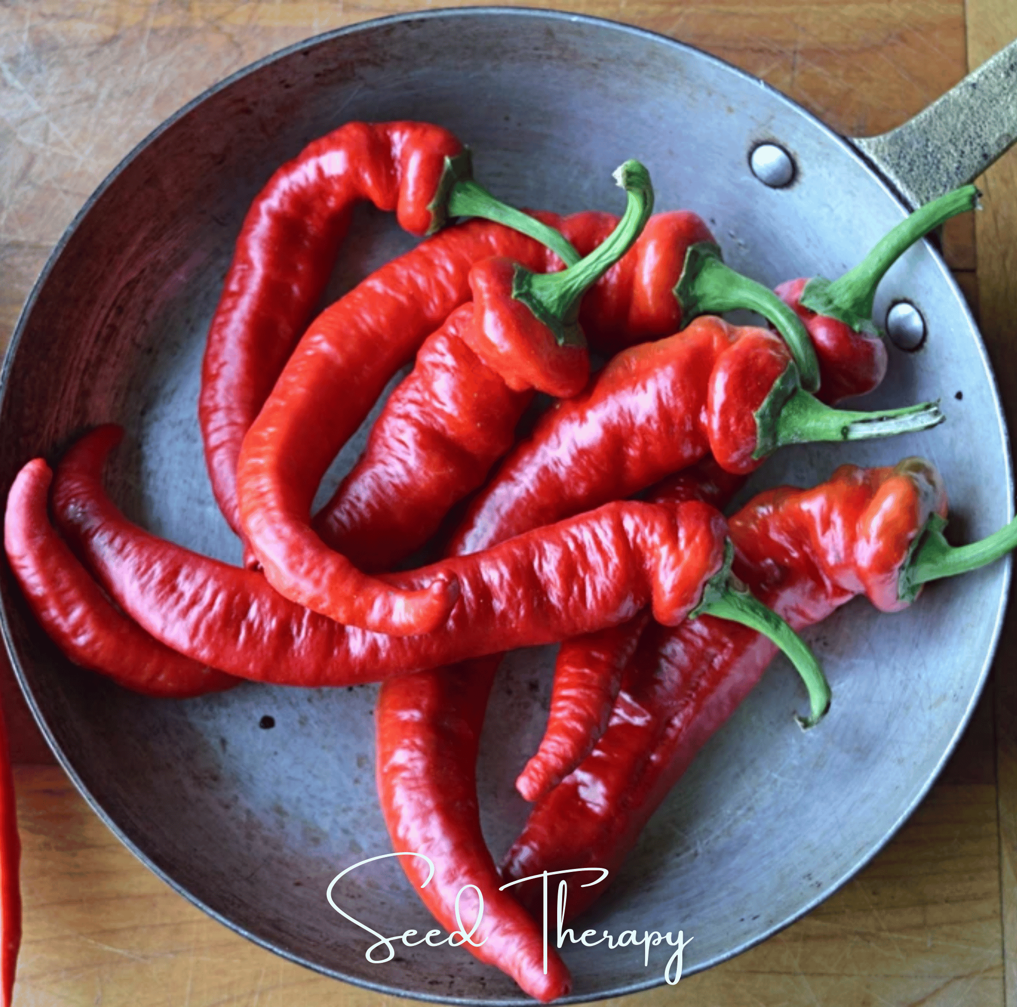 Pepper, Jimmy Nardello's (Capsicum annuum) - 25 Seeds seed packet from Seed Therapy – American - grown, heirloom seeds