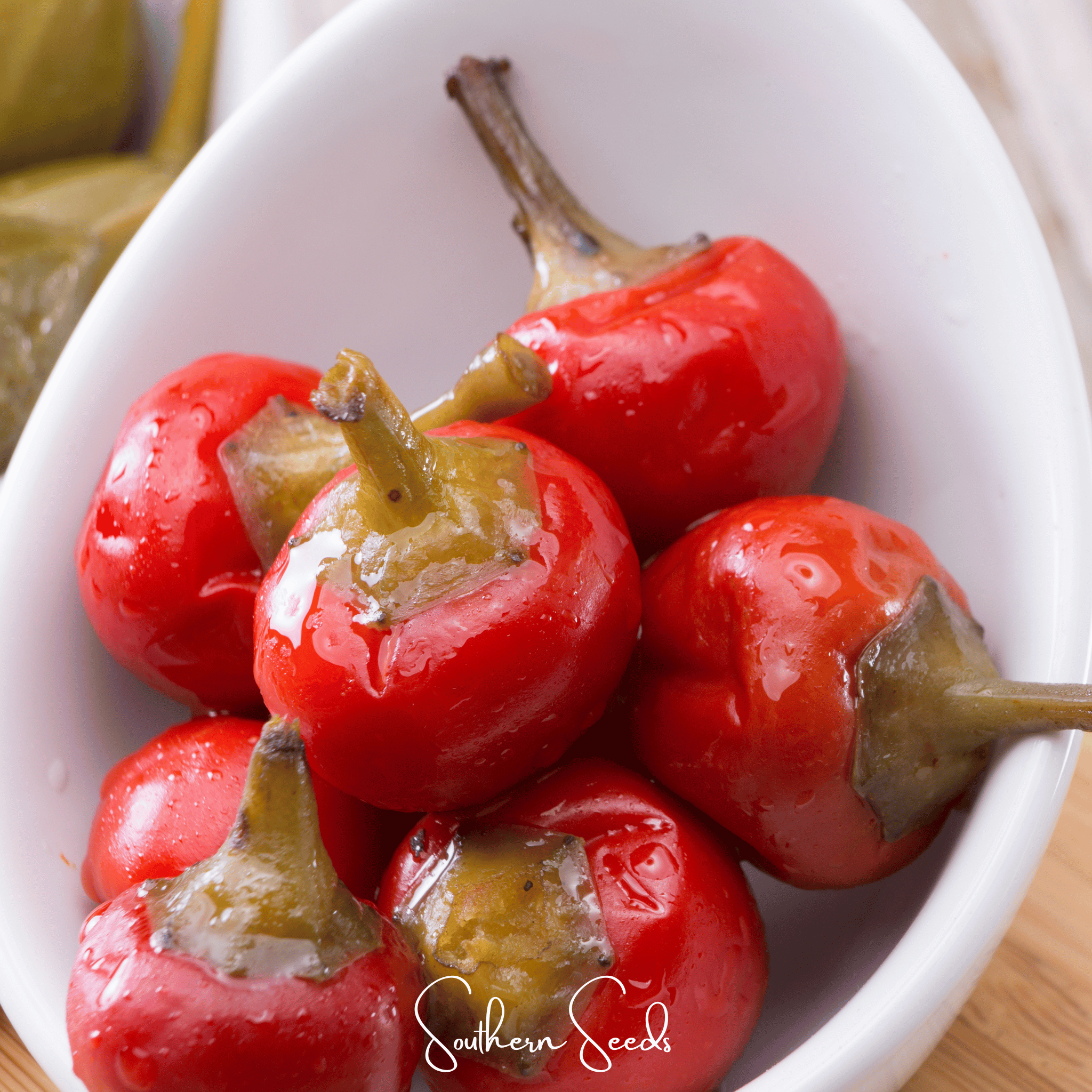 Pepper, Pimento Sweet (Capsicum annuum) - 25 Seeds seed packet from Seed Therapy – American - grown, heirloom seeds