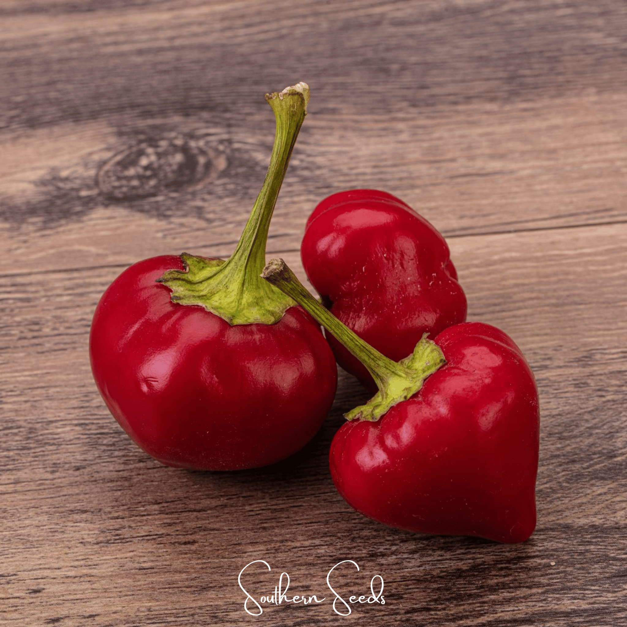 Pepper, Pimento Sweet (Capsicum annuum) - 25 Seeds seed packet from Seed Therapy – American - grown, heirloom seeds