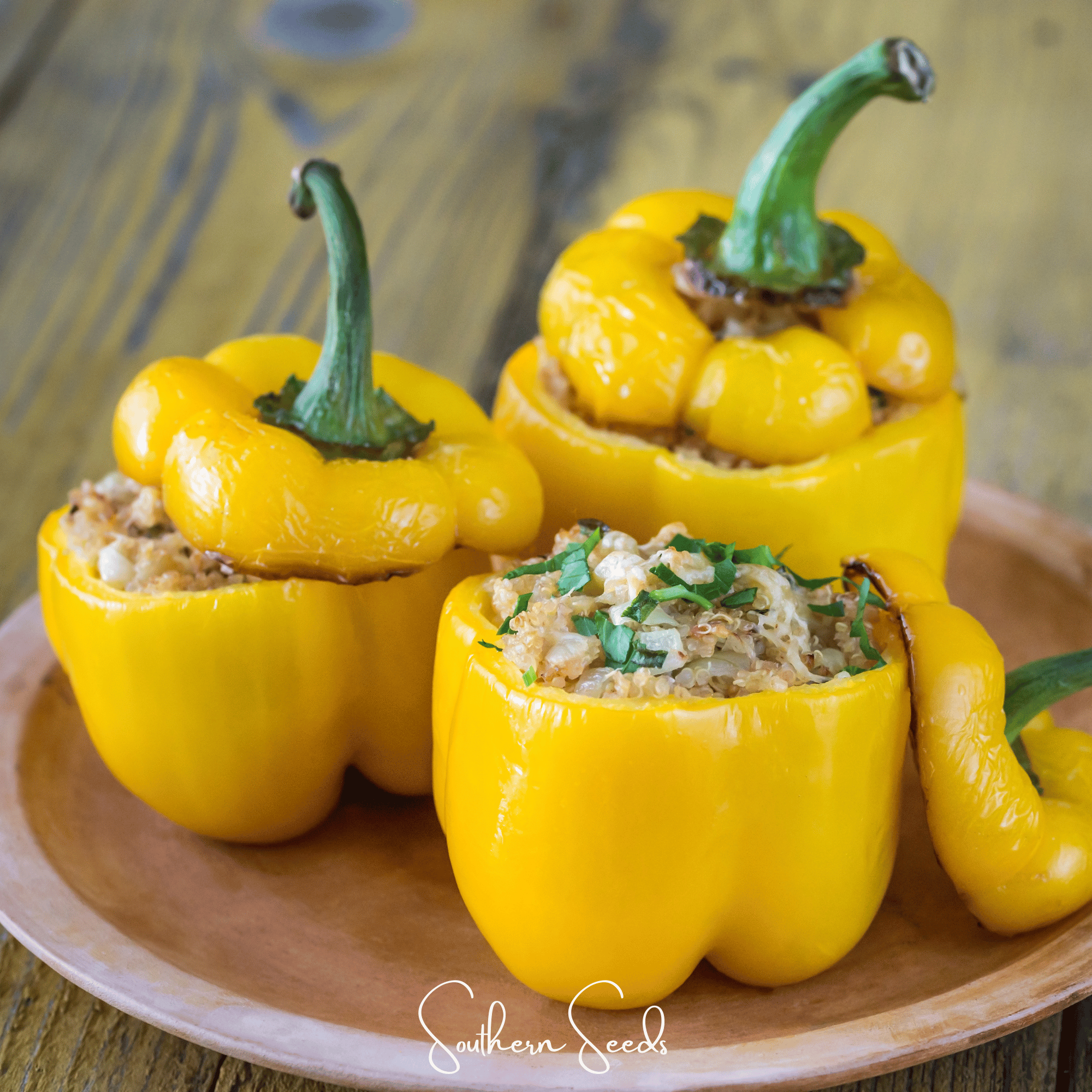 Pepper, Sunbright Bell (Capsicum annuum) - 30 Seeds seed packet from Seed Therapy – American - grown, heirloom seeds