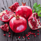Pomegranate (Punica granatum) - 20 Seeds seed packet from Seed Therapy – American - grown, heirloom seeds