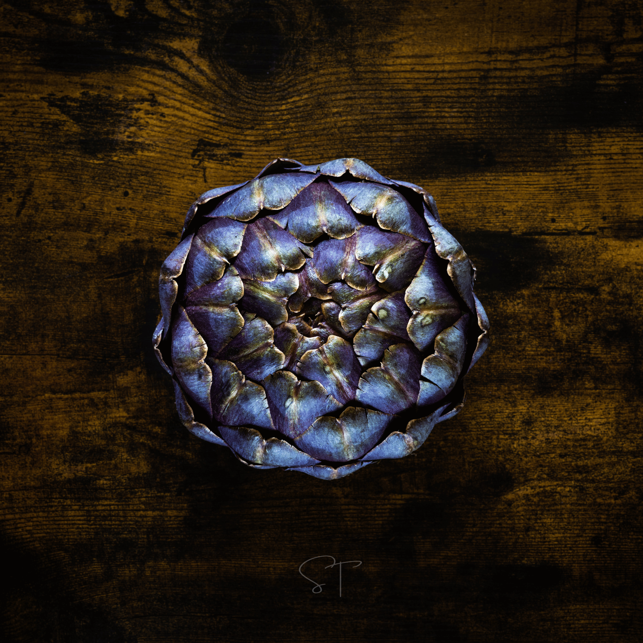 Purple Romagna Artichoke – 25 Seeds seed packet from Seed Therapy – American - grown, heirloom seeds