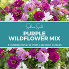 Purple Wildflower Seed Mix - Stunning Flower Mix - 1,000 Seeds seed packet from Seed Therapy – American - grown, heirloom seeds